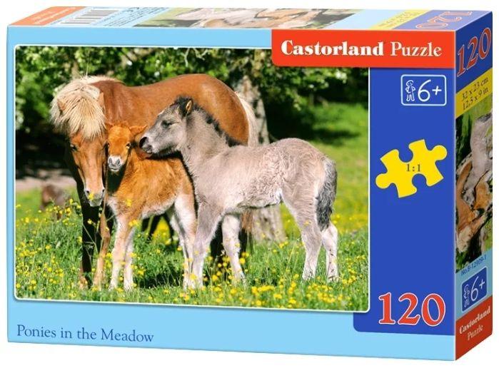 Пазли 120 елементів "Сім'я конячок", В~12619 | Castorland