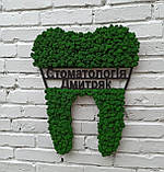 Декоративний зуб з моху на стіну. логотип стоматології, назва стоматології чи ім'я лікаря від 30 см до 1 м, фото 6
