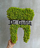 Декоративний зуб з моху на стіну. логотип стоматології, назва стоматології чи ім'я лікаря від 30 см до 1 м, фото 9