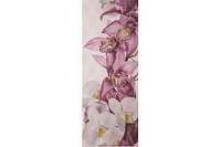 Декор Атем Соте Орхидея 20x50