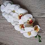 Гілка білих орхідей — 100 см, фото 3