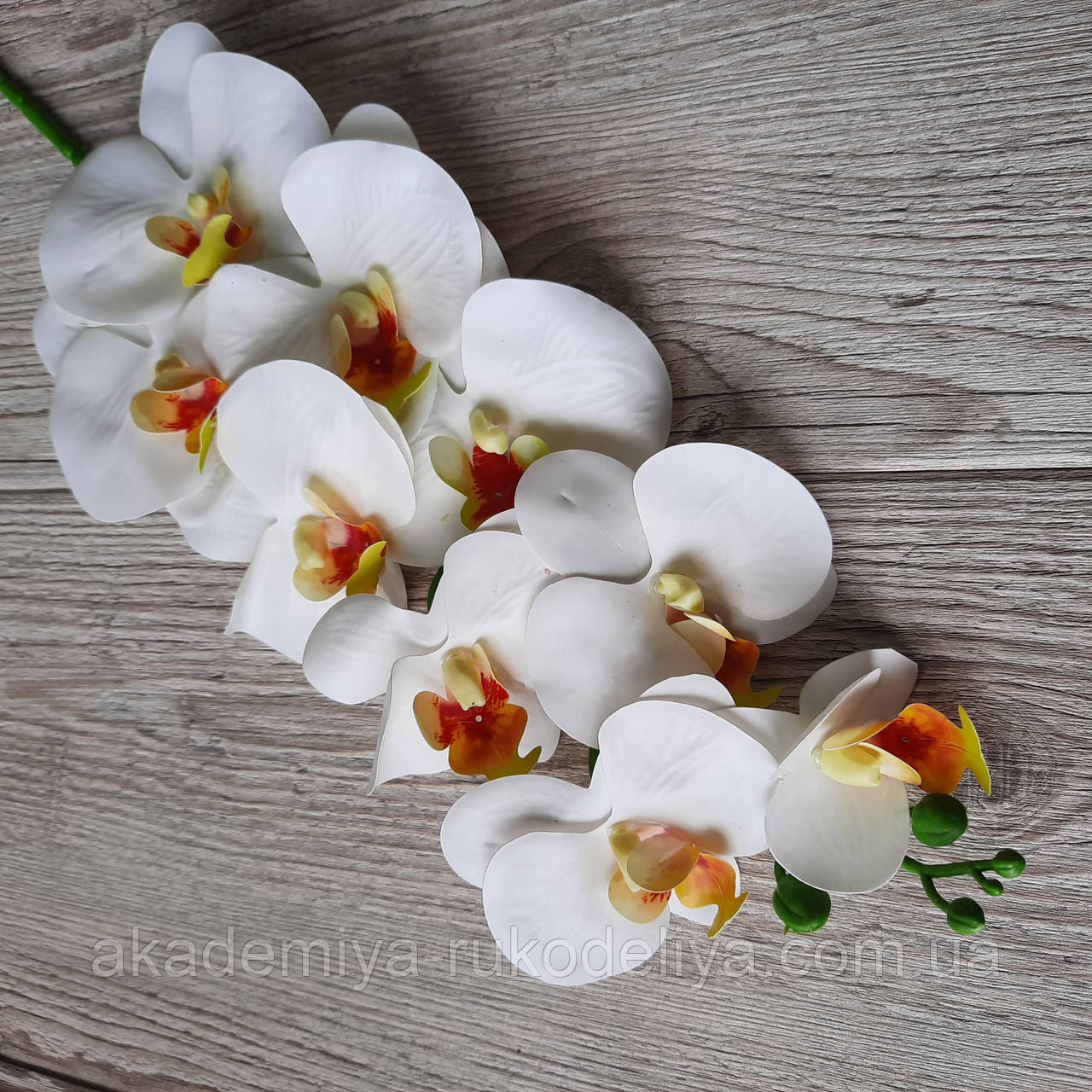 Гілка білих орхідей — 100 см, фото 1