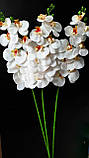 Гілка білих орхідей — 100 см, фото 4