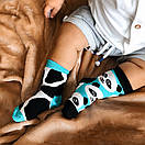 Дитячі шкарпетки Sammy Icon Stains бірюзові з пандами, фото 4