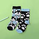 Шкарпетки різнопарні дитячі Sammy Icon Balto "Хаскі і сліди", фото 4