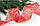Стрічка новорічна 6,3 см "Метелики на мішковині", червона, рулон 22,5 метрів, фото 2