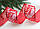 Стрічка новорічна 6,3 см "Падуб і завитки на мішковині", червона рулон 22,5 метра, фото 2