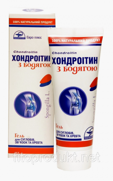 Хондроїтин із бадьгою для суглобів і хребта гель 75 мл Євро плюс, фото 1