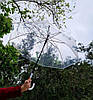 Прозора парасолька-тростина купол 8 спиць Жіноча купольна парасолька тростина напівавтомат, фото 5