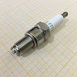 Свічка запалювання для бензинового двигуна 168/70, фото 2