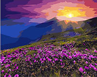 Картина по номерам "Солнце за горами" 40*50 см картина для рисования Номерные раскраски Полный Набор