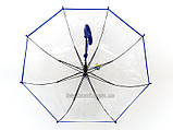 Прозрачный зонт грибок трость для детей 8 спиц   от 2 до 5 лет, фото 8