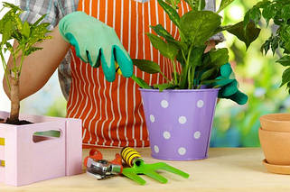 Сад, город, догляд за рослинами