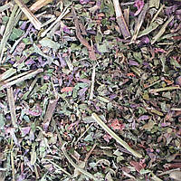 100 г чистец трава сушеная (Свежий урожай) лат. Stachys