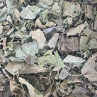 100 г шелковица белая лист сушеный (Свежий урожай) лат. Mórus álba