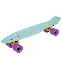 Пенні борд Penny Board круїзер пластиковий 22" FISH SK-401-10