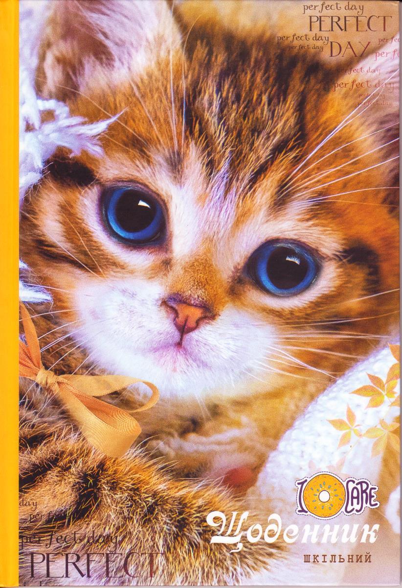 Щоденник шкільний, тверда обкладинка, 21105