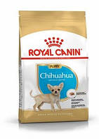 Корм Роял Канин Чихуахуа Паппи Royal Canin Chihuahua Puppy породный для щенков 500 г