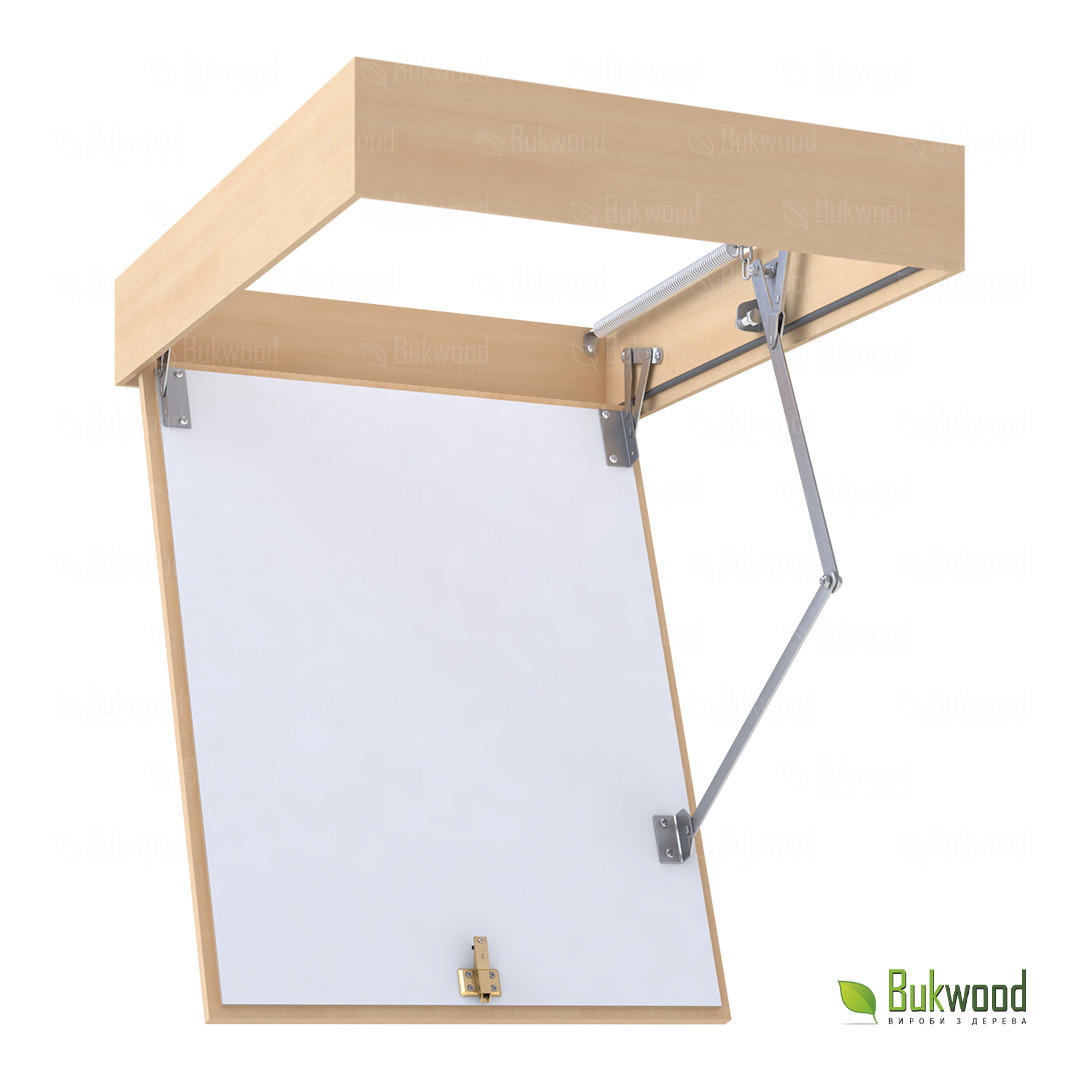 Люк на горище Bukwood Compact, фото 1