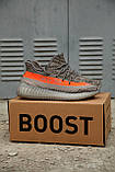 Кросівки Adidas Yeezy Boost 350 V2 Steeple Grey Beluga, фото 5