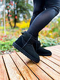 UGG Classic Mini Black, фото 6
