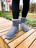 UGG Mini Bailey Bow Grey, фото 3