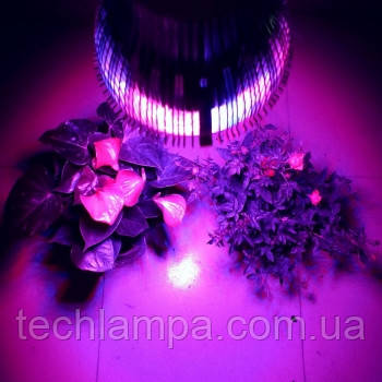 Фитолампы Led Full 21W E27