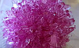 Набір для вирощування кристалів GROWING CRYSTAL (GRK-01-08), фото 7