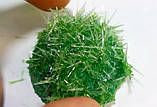 Набір для вирощування кристалів GROWING CRYSTAL (GRK-01-08), фото 8