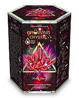 Набор по выращиванию кристаллов GROWING CRYSTAL (GRK-01-03)