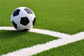 Штучна трава Taishan TS Master A 40 mm