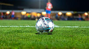 Штучна трава Taishan TS Master A 50 mm