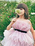 Ошатне коротке бальне плаття для дівчинки "Моллі", фото 3