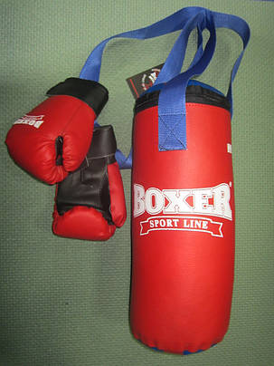 Боксерський комплект дитячий Boxer, фото 2