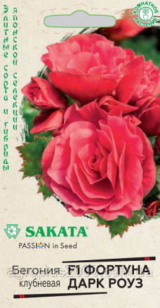 Насіння Бегонія махрова полунова Фортуна Дарк Роуз F1, 4 семи. Гавріш