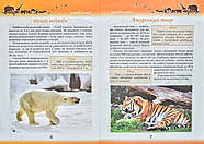Цікаві дивовижні, фото 6