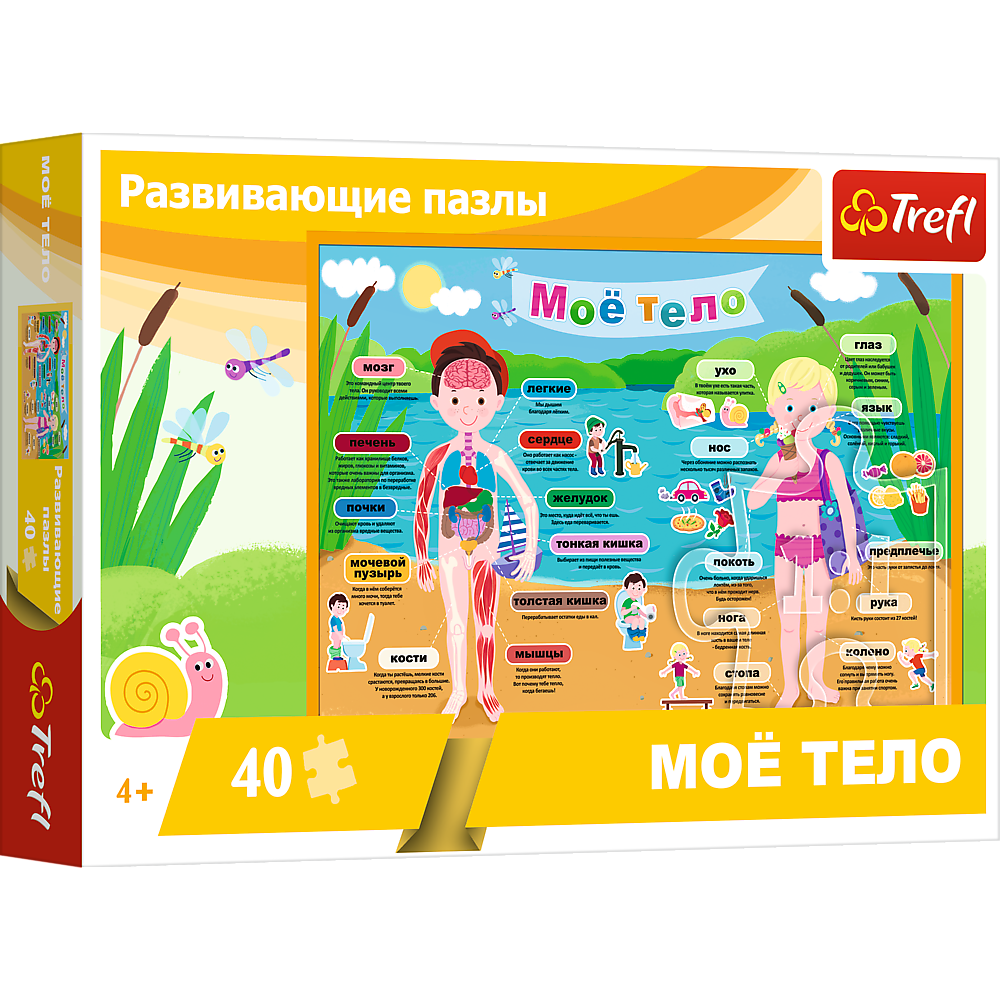 Пазли навчальні Моє тіло 40 елементів Trefl 15528