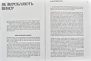 Натуральне вино для кожного. Що це? Де його знайти? Як у нього закохатись?, фото 4