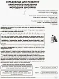 1 клас. Я досліджую світ. Вчимося вчитися та критично мислити. Нестандартні завдання за темами тижнів. Основа, фото 3