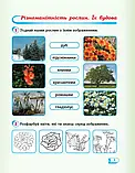 1 клас. Я досліджую світ. Робочий зошит частина 2 (до під. Гільберг Т.В.) Назаренко А.А.  Ранок, фото 2