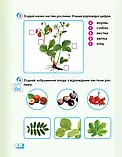 1 клас. Я досліджую світ. Робочий зошит частина 2 (до під. Гільберг Т.В.) Назаренко А.А.  Ранок, фото 3