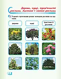 1 клас. Я досліджую світ. Робочий зошит частина 2 (до під. Гільберг Т.В.) Назаренко А.А.  Ранок, фото 4
