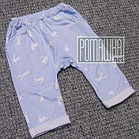 Демісезонні весна осінь р 74 5-7 міс модні дитячі штанці для новонароджених малюків ІНТЕРЛОК 4794 Блакитний