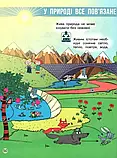 1 клас. Я досліджую світ. Підручник 1 частина Бібік Н.М., Бондарчук Г.П. Ранок, фото 5
