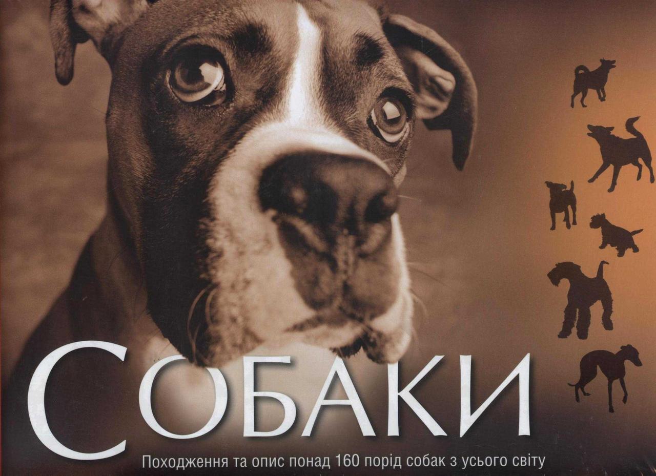 Собаки