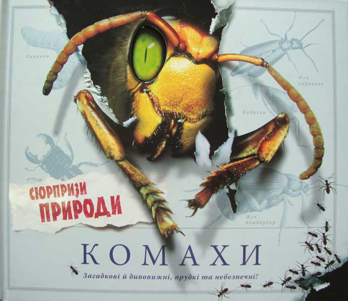 Комахи. Сюрпризи природи