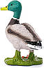 Schleich 13824 фигурка Селезень - Farm Life Drake Figure, фото 2
