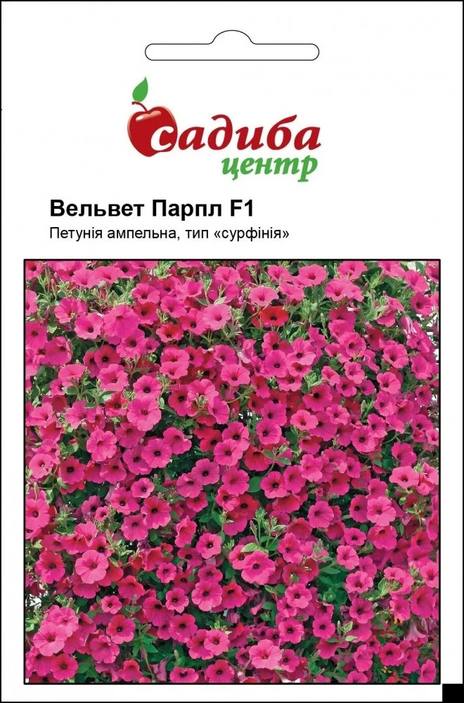 Петунія ампельна Вельвет Парпл F1 10 шт, Cerny