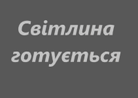 Мастика Цукрова кондитерська маса Сіра(Світло-сіра) 1кг