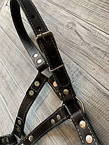 Недоуздок для коня шкіряний подвійний. Недоуздок Horse Stall для коней., фото 3